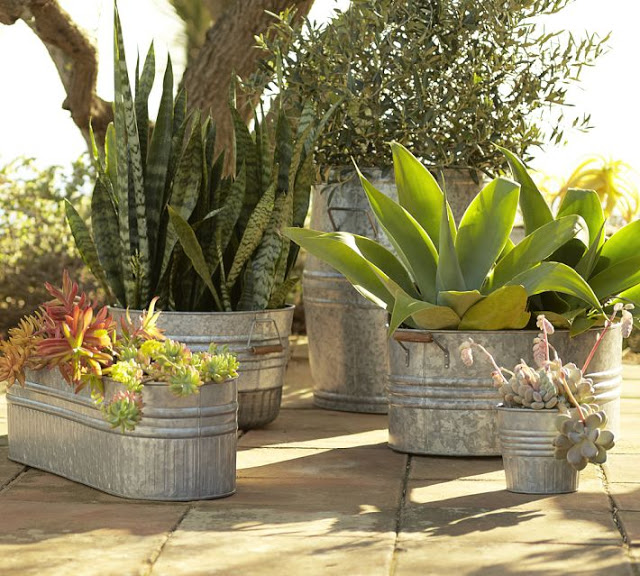 Galvanized Metal Tubs, Buckets, & Pails as Planters Driven by Decor