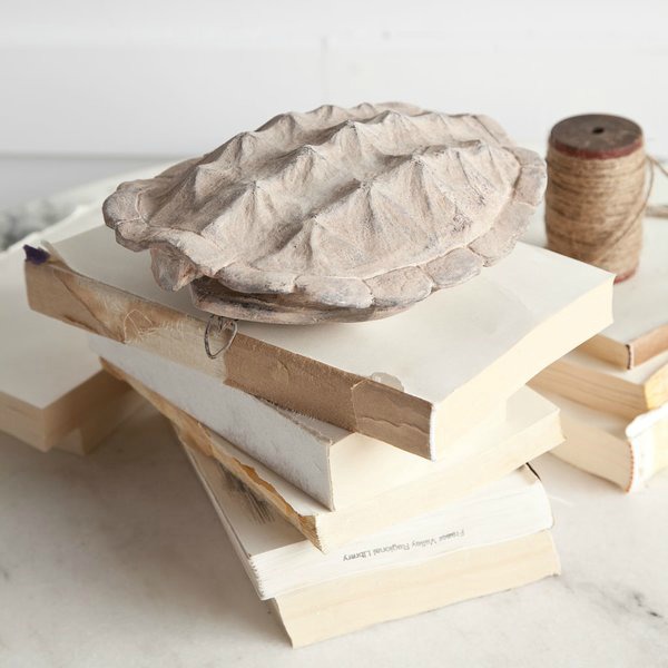 Faux Turtle Shells How to Decorate with Them & Where to Buy Them! Driven by Decor