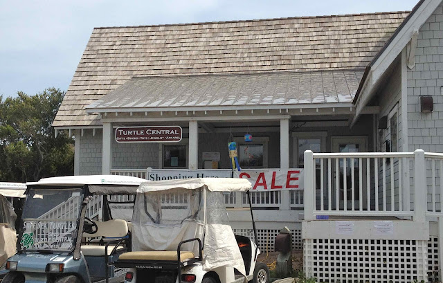 Turtle Central on Bald Head Island