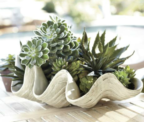 Decorative Giant Clam Shell from Ballard Designs