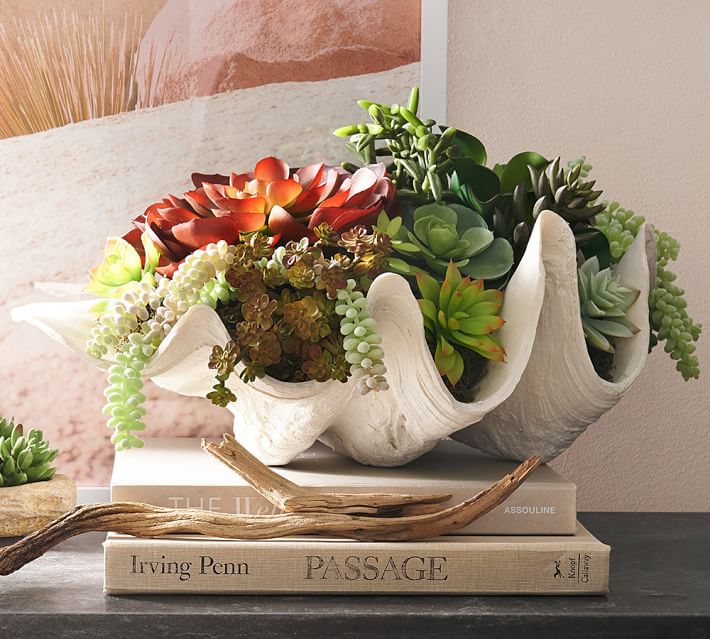 Love this faux giant clamshell filled with succulents!