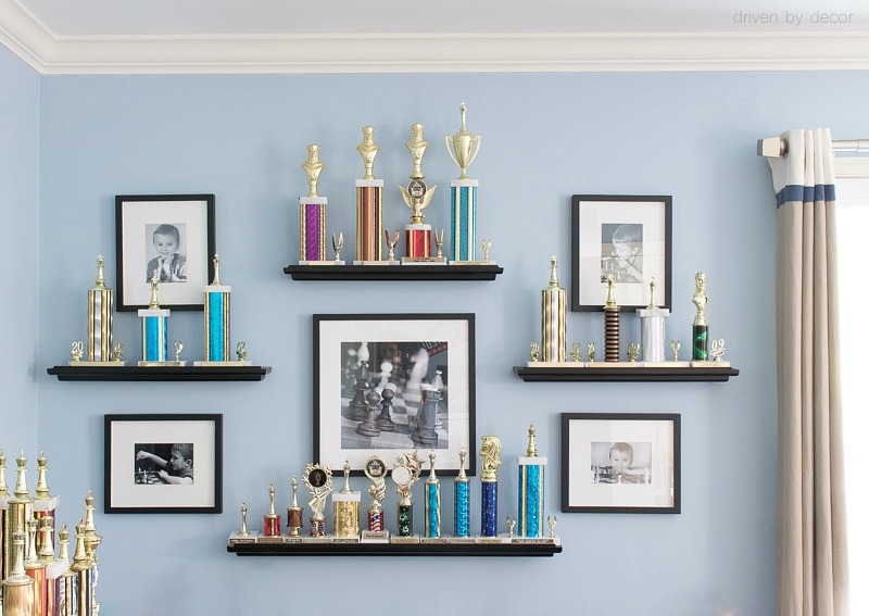 Trophy and Medal Awards Display Ideas Driven by Decor