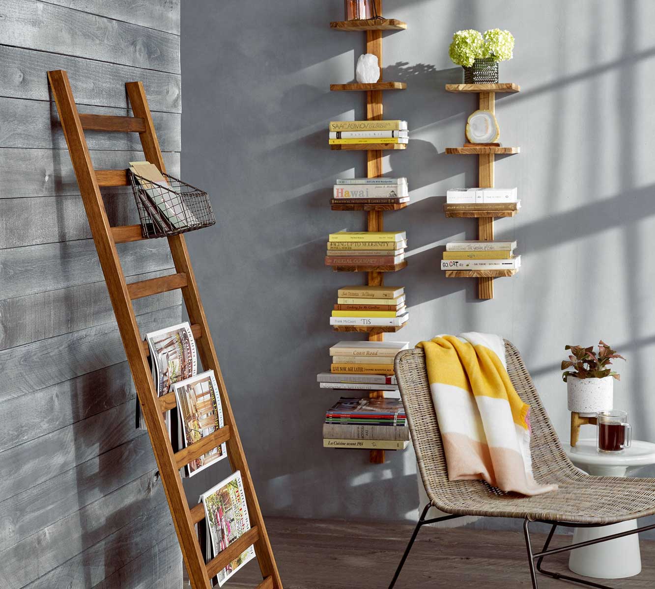 Decorative ladder idea of using it as a magazine rack