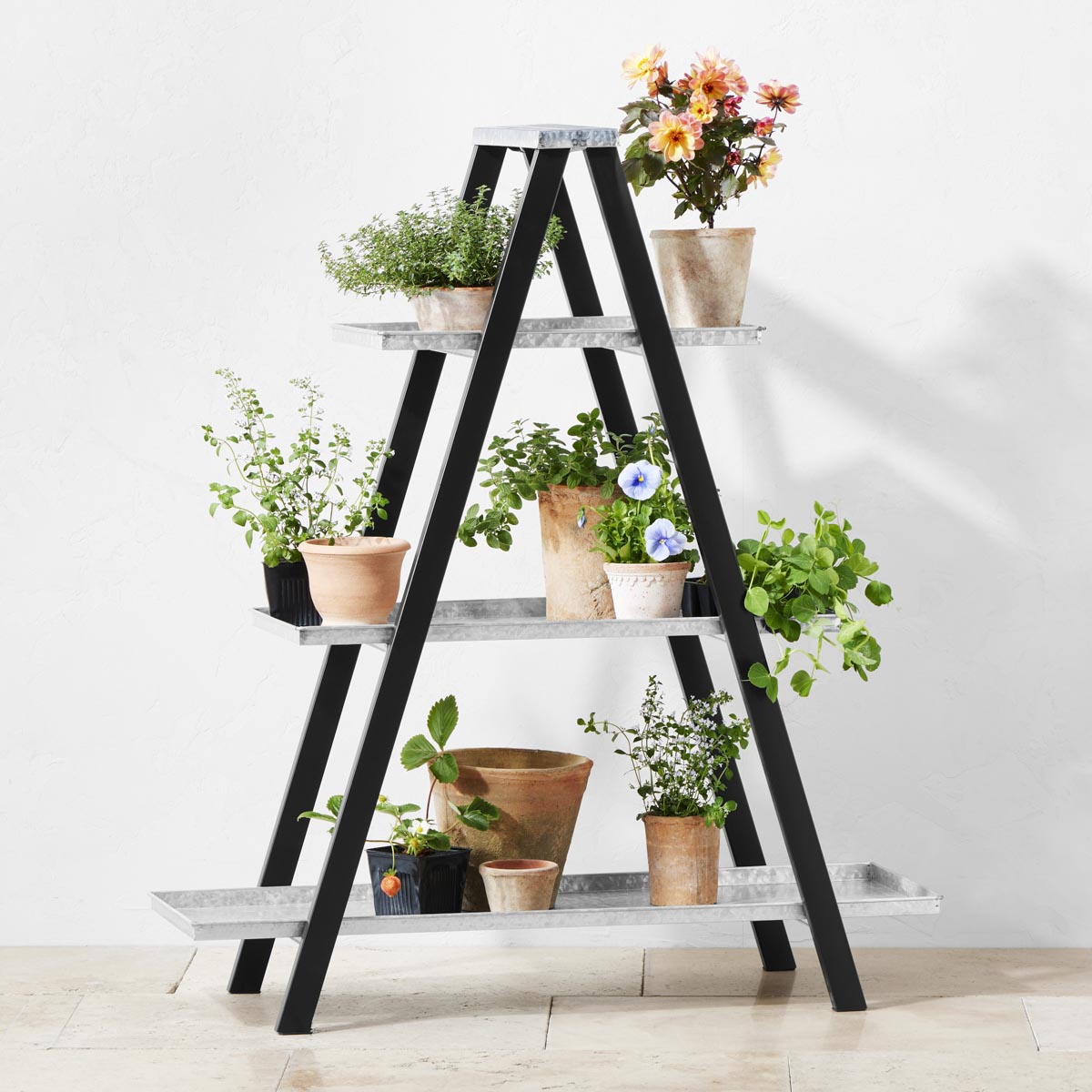 Decorative ladder with galvanized shelves for holding plants
