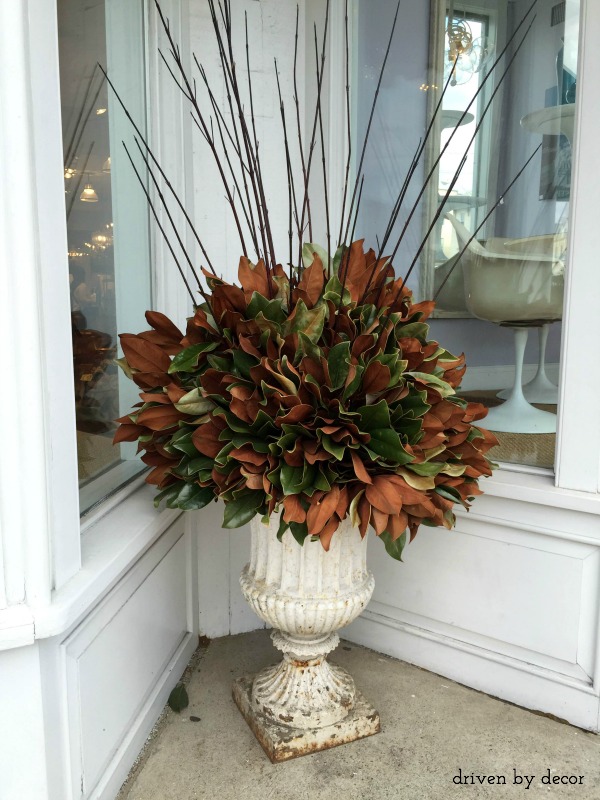 Magnolia leaves in urns as holiday decorations