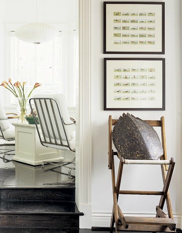 Tortoise shell on antique chair as art!