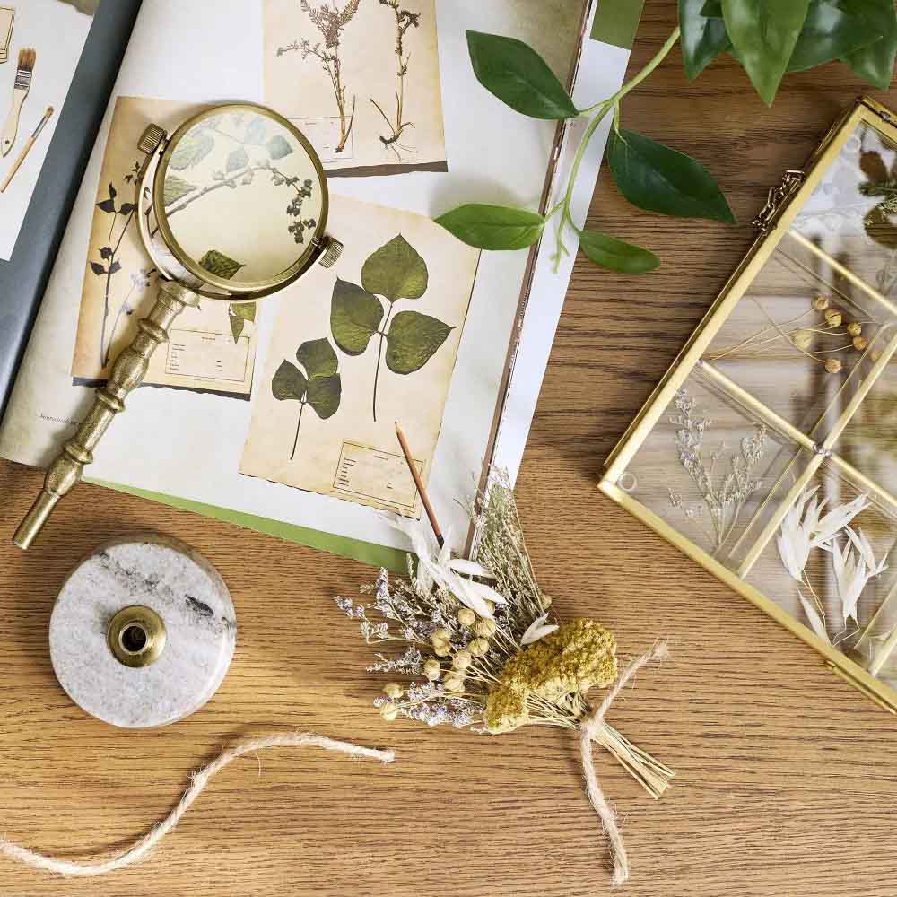 Decorative magnifying glass on open book