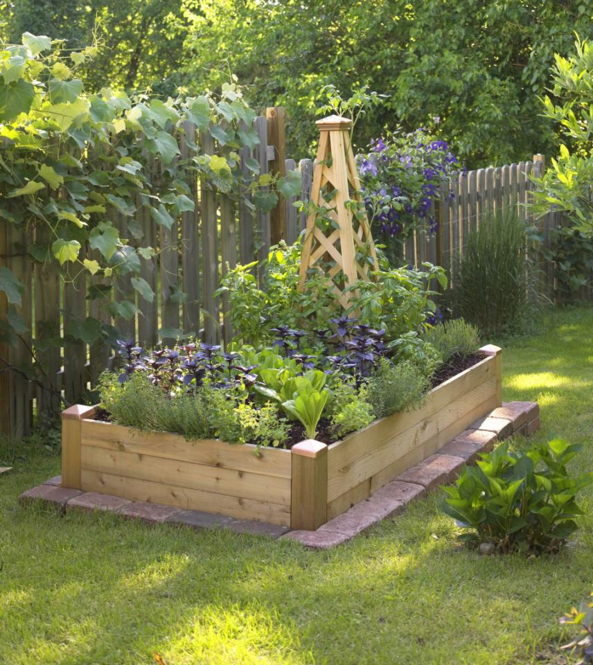 Creating Our First Vegetable Garden: Advice Please! | Driven by Decor