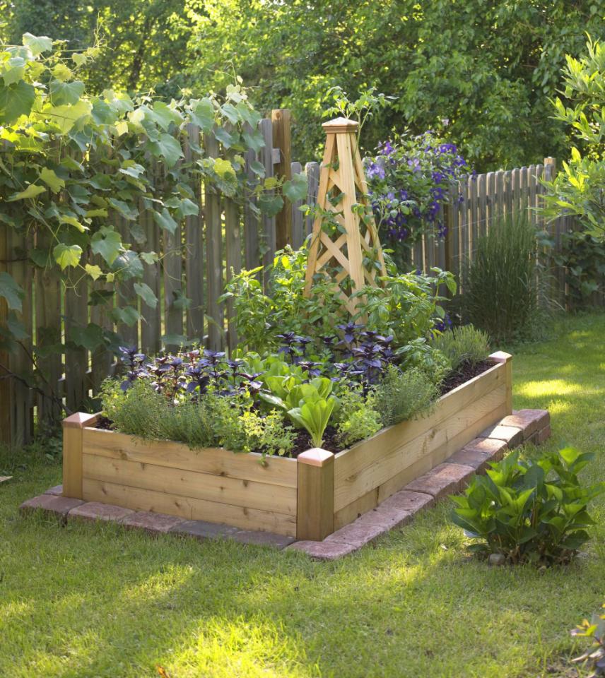 Creating Our First Vegetable Garden: Advice Please! | Driven by Decor on Organic Garden Design
 id=81892