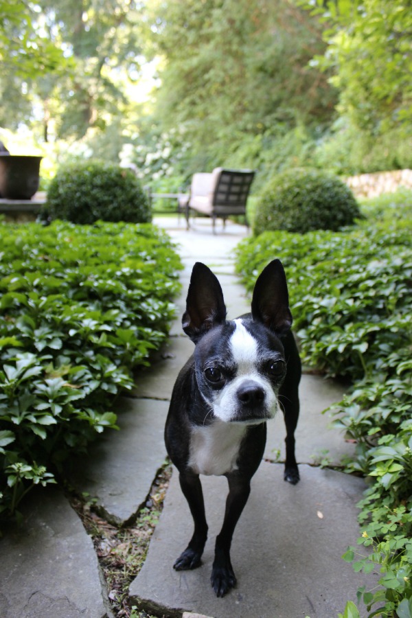 Stylish Built In Dog Beds And Kennels Driven By Decor I Started Looking Into Options To Creating A Built In Dog Bed And Love So Many Of The Creative Ideas That Found One Option Would Be Build Cozy