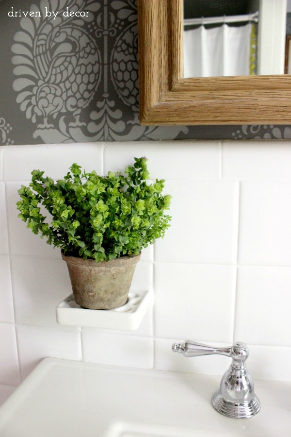 Driven by Decor - Bathroom toothbrush holder used as plant stand