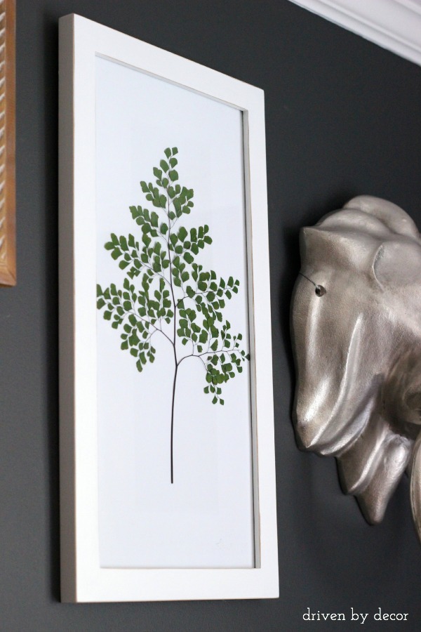 Make your own art by simply framing pressed greenery!