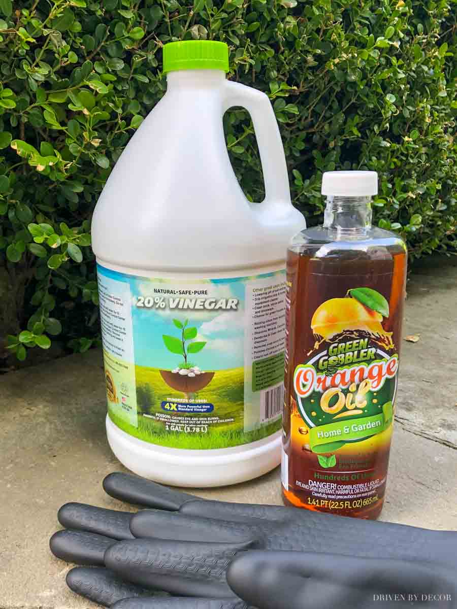 A simple recipe for organic weed killer spray that WORKS!