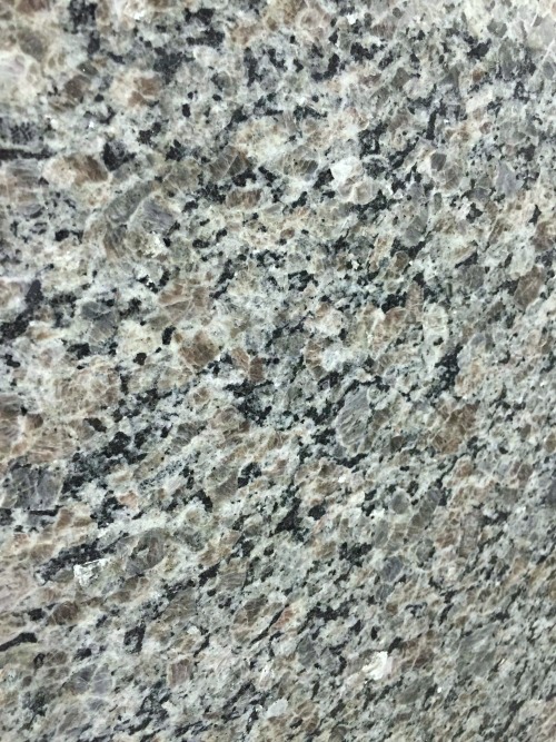 New Caledonia Oyster Pearl Granite