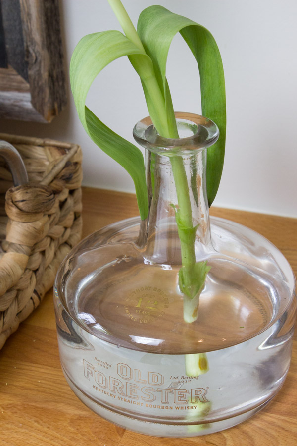 Old liquor bottle used as bud vase