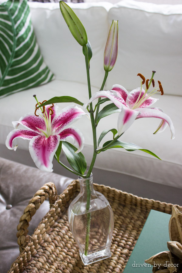 Turn a liquor bottle into a pretty vase!