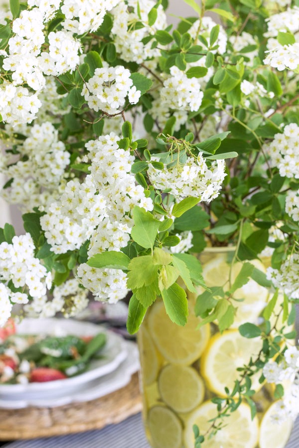 White spirea clipped from backyard bushes make a beautiful, natural centerpiece!