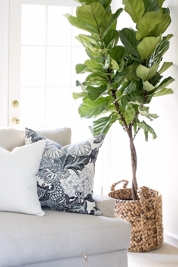 A woven basket is the perfect "pot" for an indoor tree! Link to basket included in post!