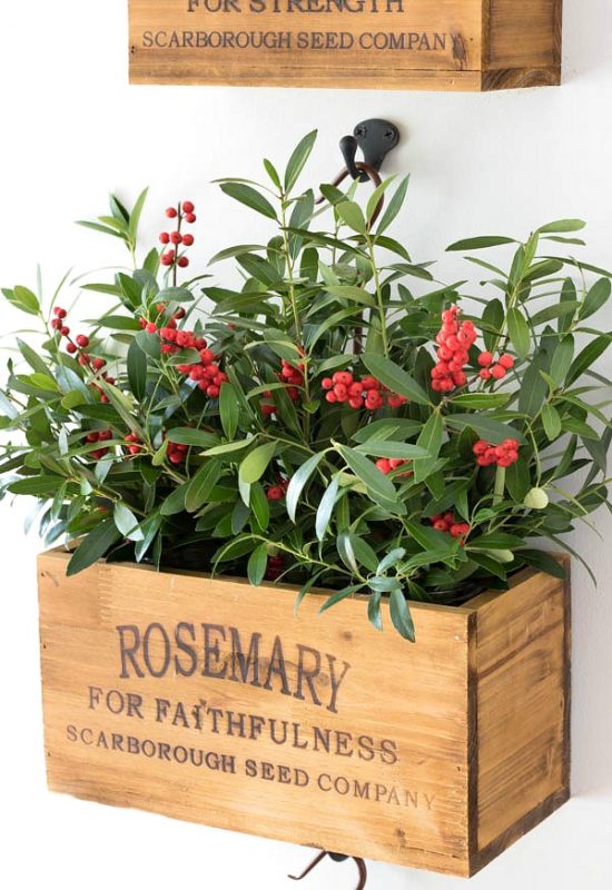 Heteromeles arbutifolia 2016 Christmas House Tour (Part 2): 12 Days of Holiday Homes | Driven by Decor