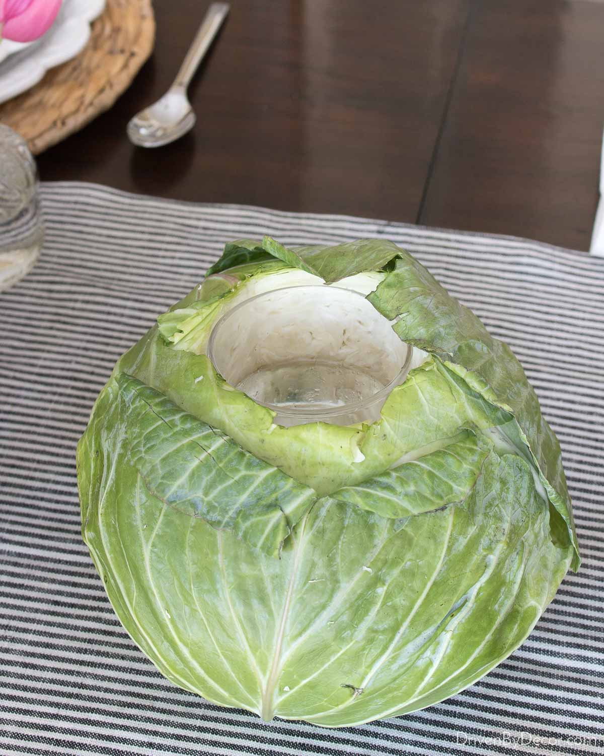 Hollowed out cabbage for making it into a vase