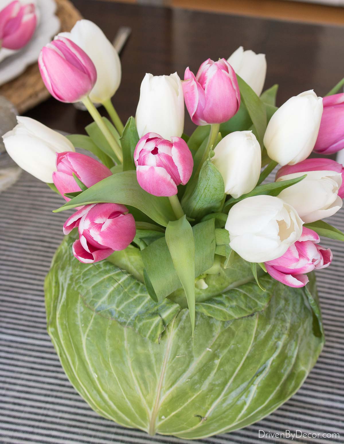 Cabbage filled with tulips