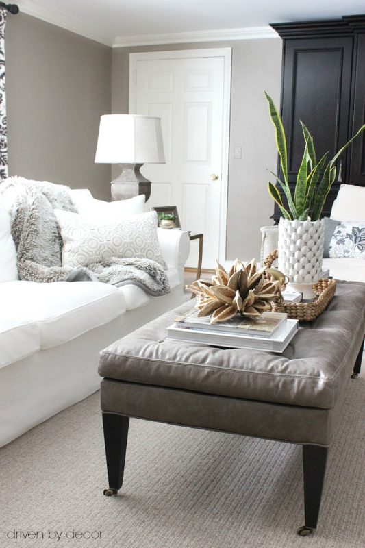 6 Stylish Coffee Table Decor Ideas to Elevate Your Space! - Driven by Decor