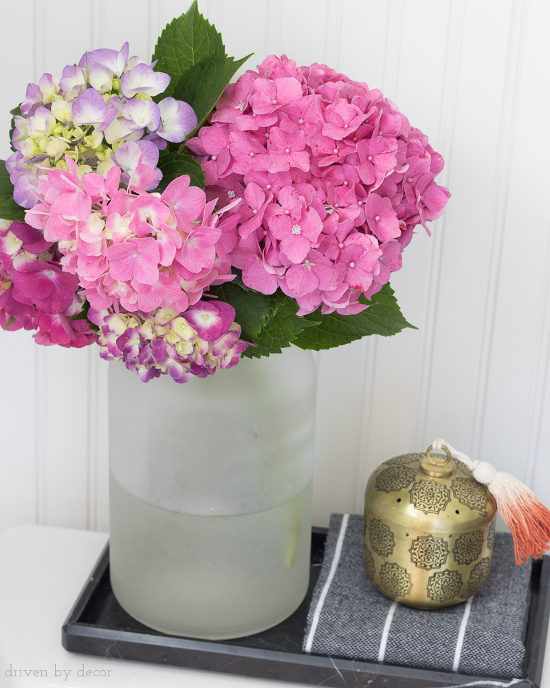 Great tips on how to turn the color of your hydrangeas from blue to pink!