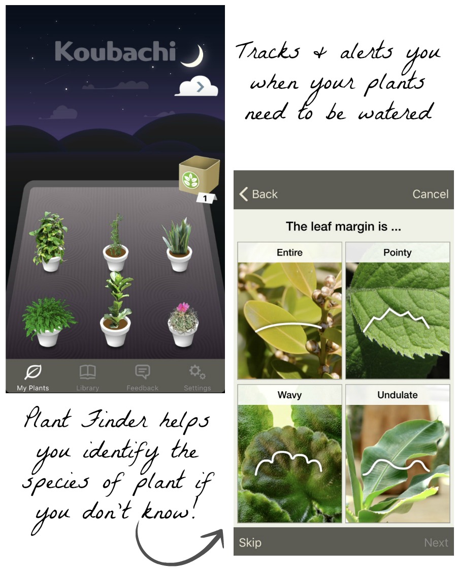 The 10 Best Apps for Home Decorating! Driven by Decor