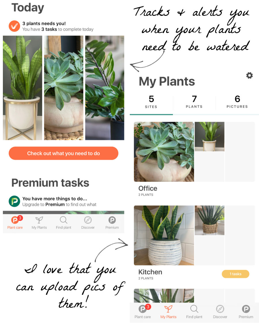 Love this app that keeps me on track for watering my plants!