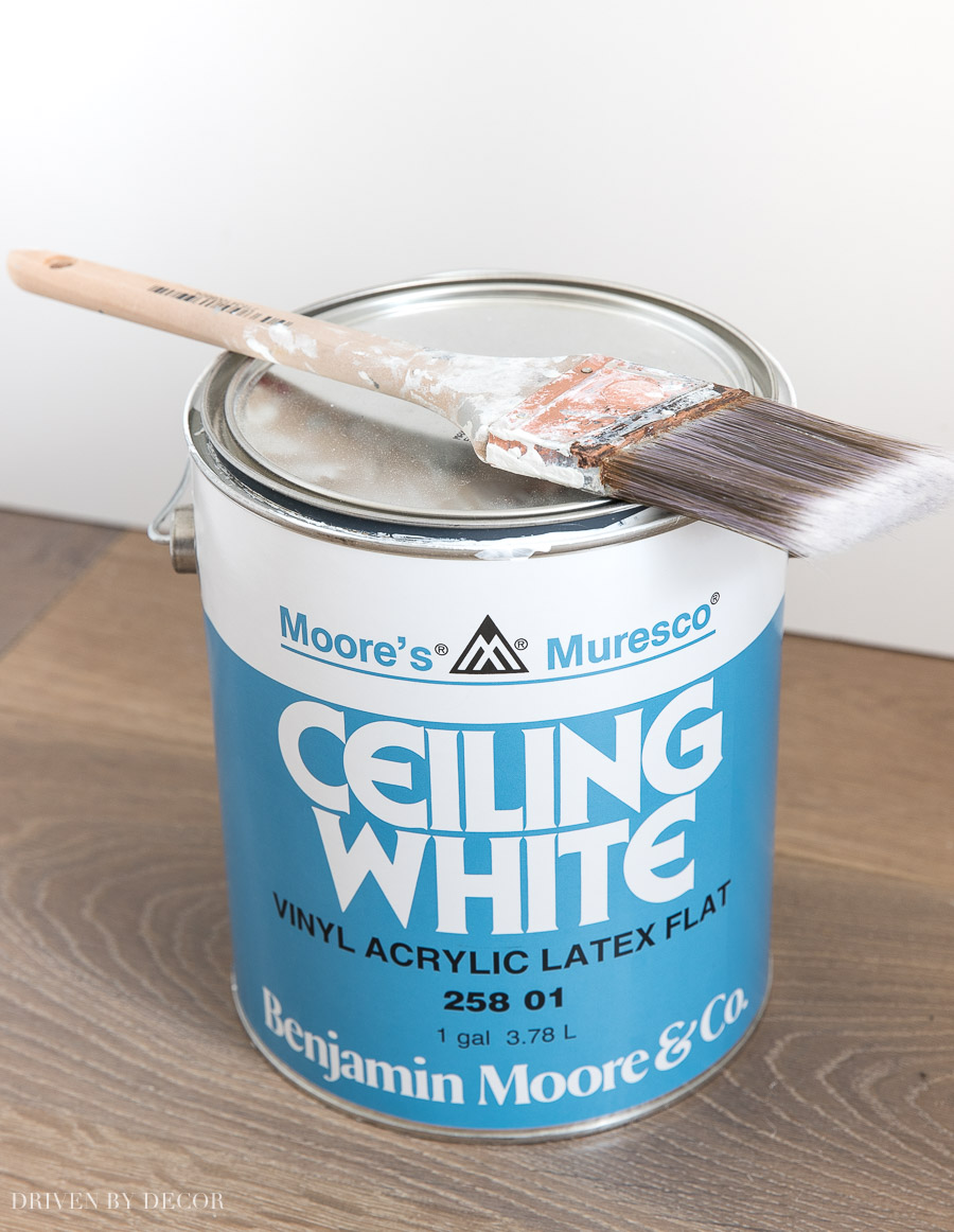 The BEST choice for ceiling paint!