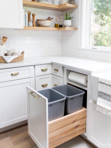 Kitchen cabinet storage ideas