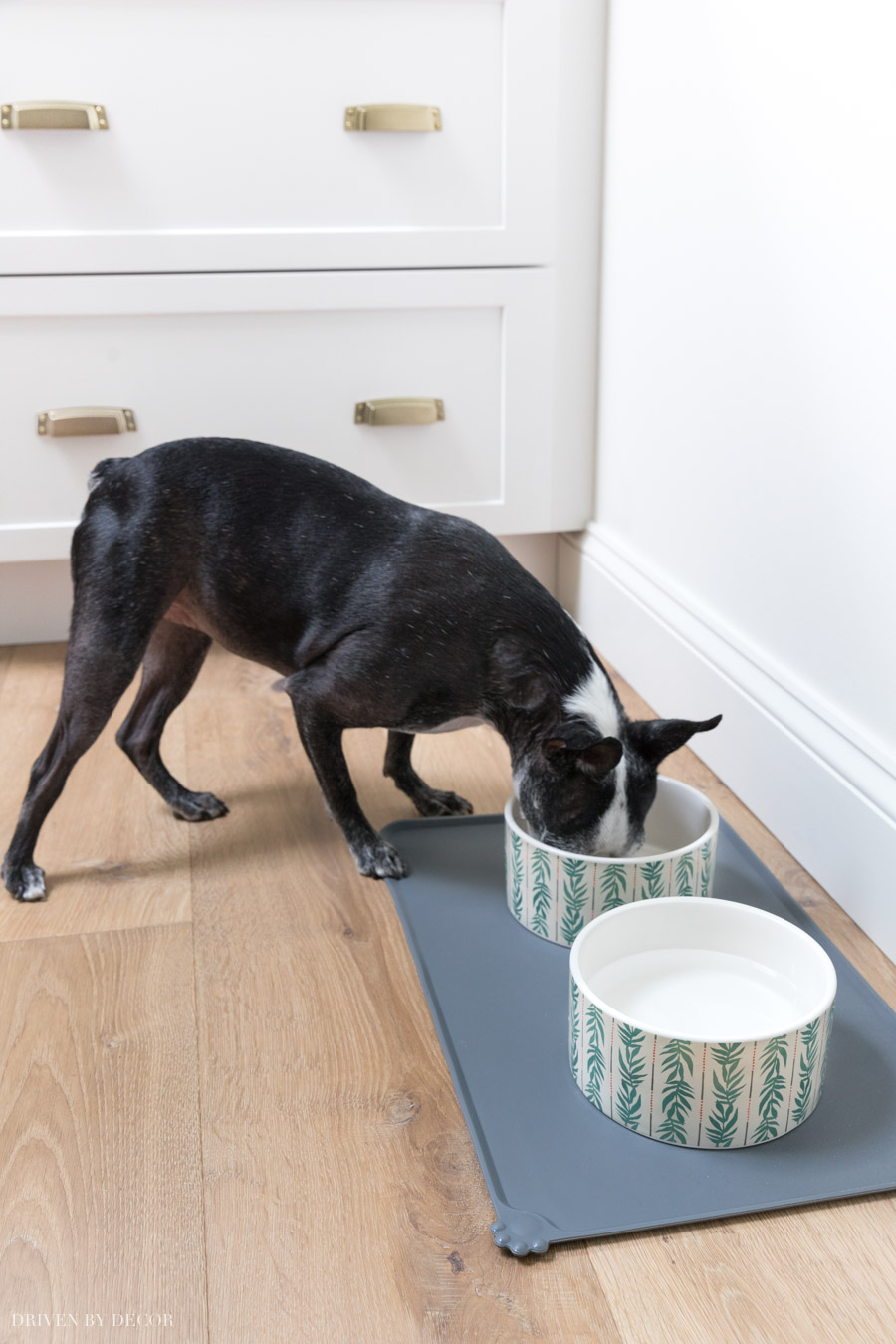 This silicone pet bowl mat is a lifesaver! Keeps dog and cat food and water bowl spills from harming your floors!