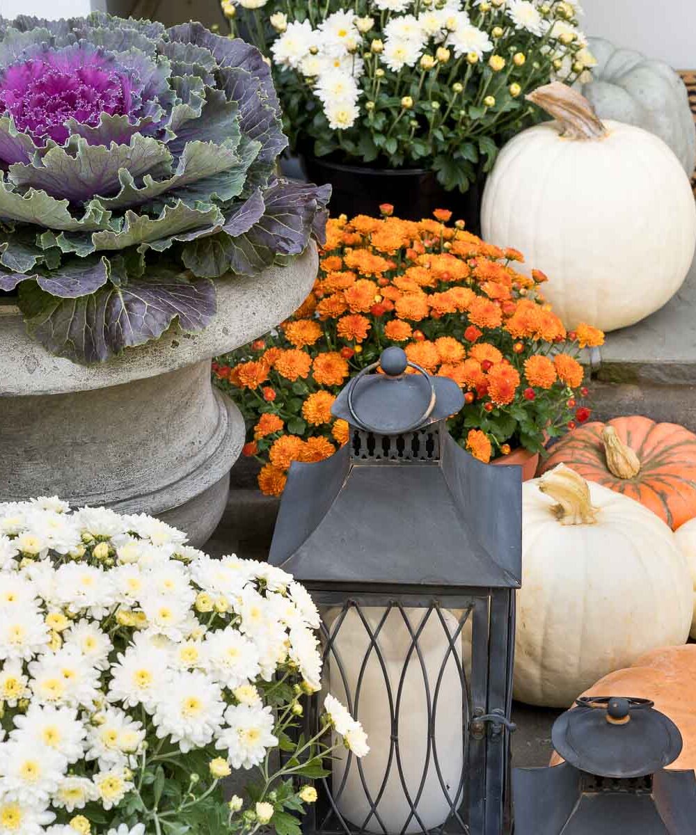 Fall front porch