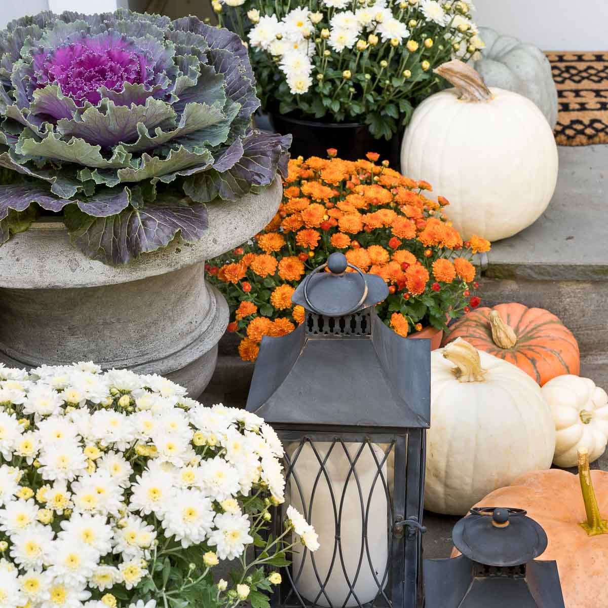 Fall Front Porch Ideas to Welcome in the Season! - Driven by Decor