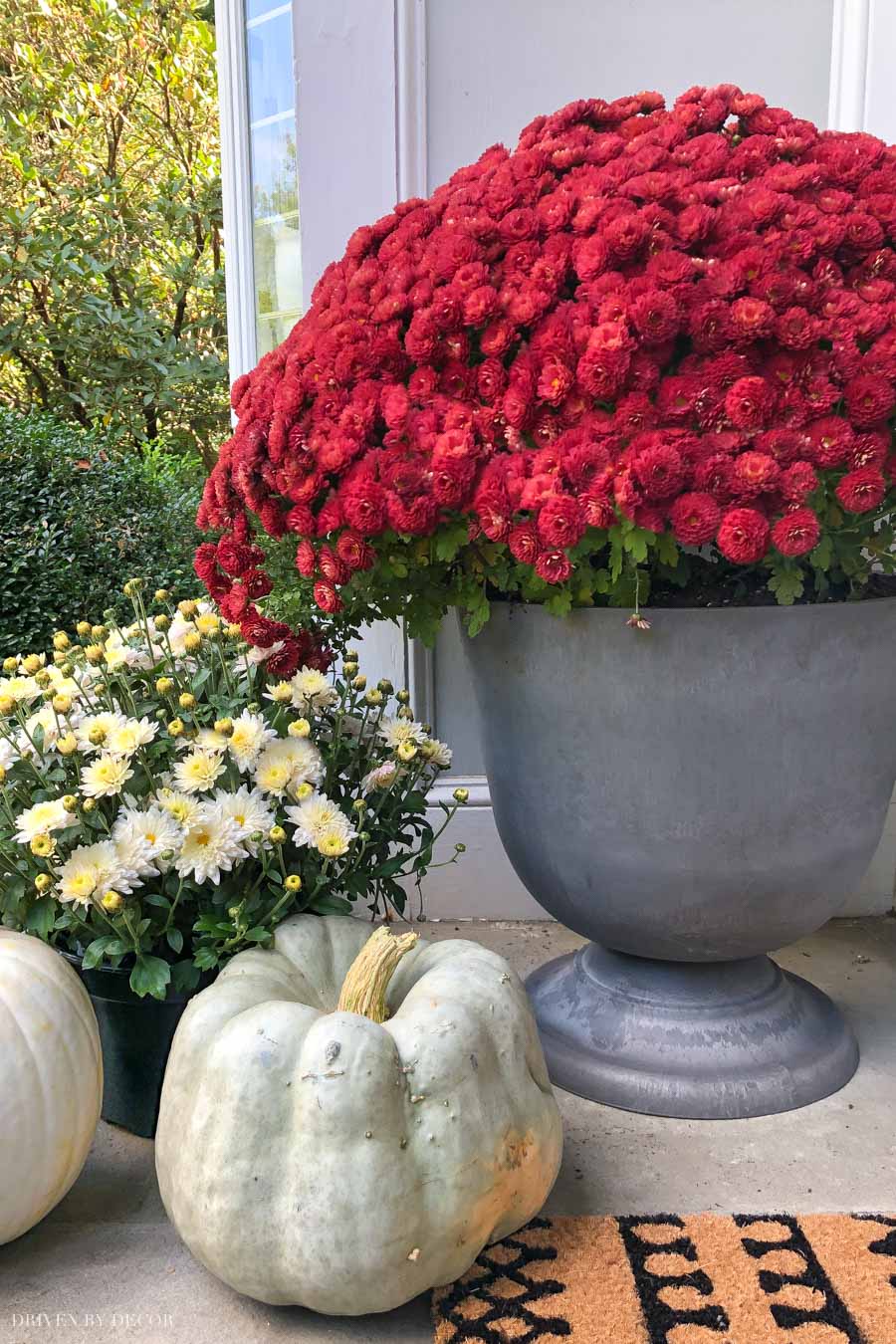 The perfect gray urn planters for your front porch at a GREAT price!!