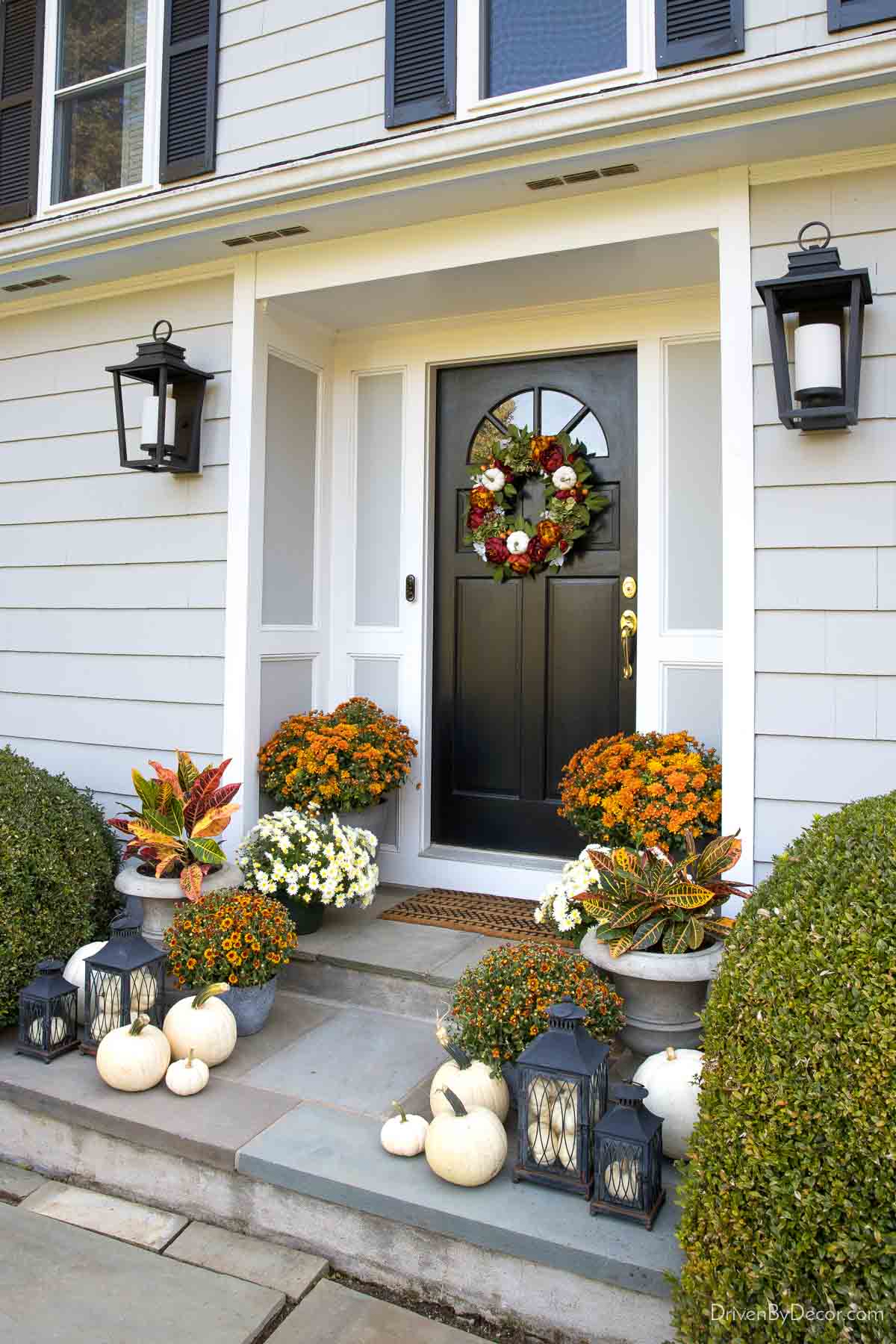 White pumpkins mixed with mums and crotons on our fall front porch