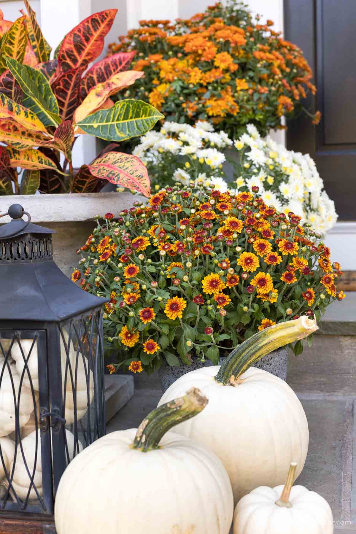 White pumpkins on a fall front porch