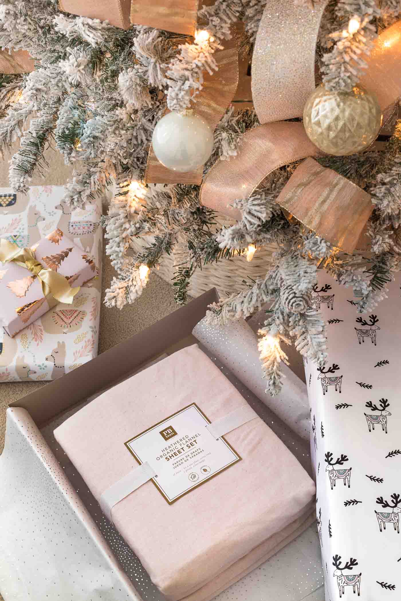 Gift ideas for teenage sales niece