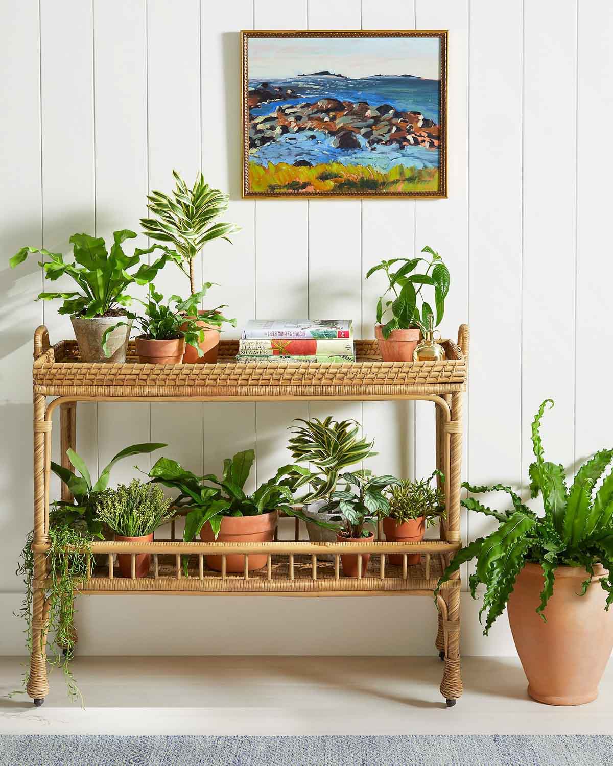 Rattan bar cart holding plants