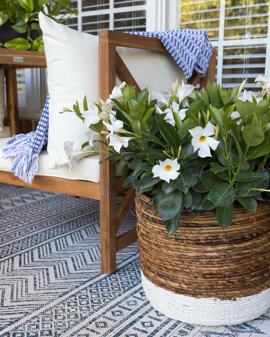 Gorgeous basket holding a plant on the back porch!