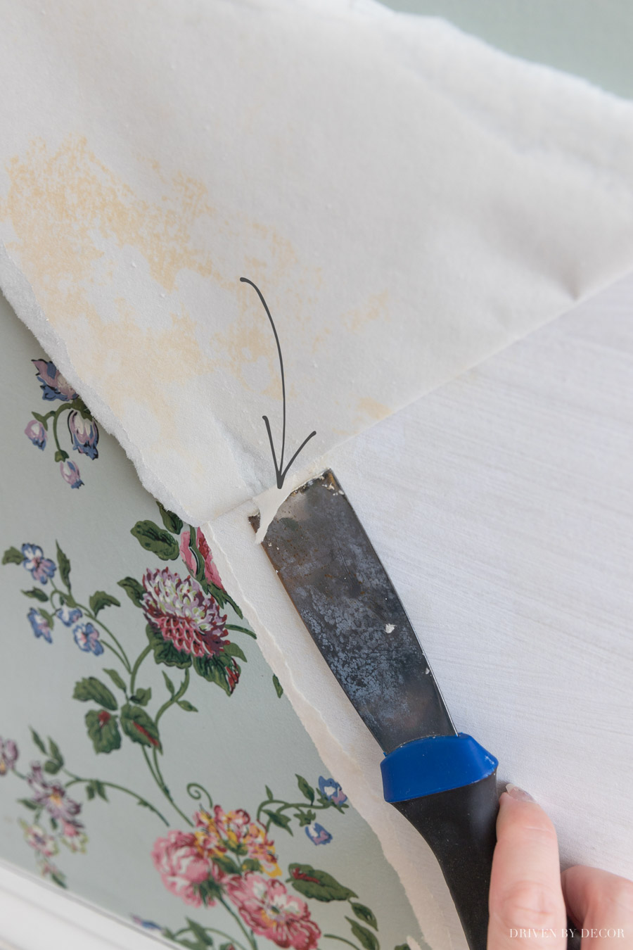 The best, simplest way to remove wallpaper = love this tip!