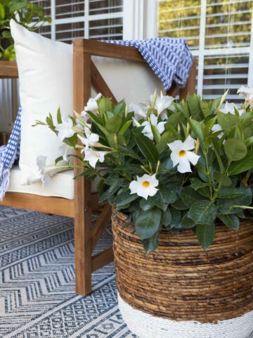 Love these outdoor decorating ideas including using a basket planter like on this covered porch