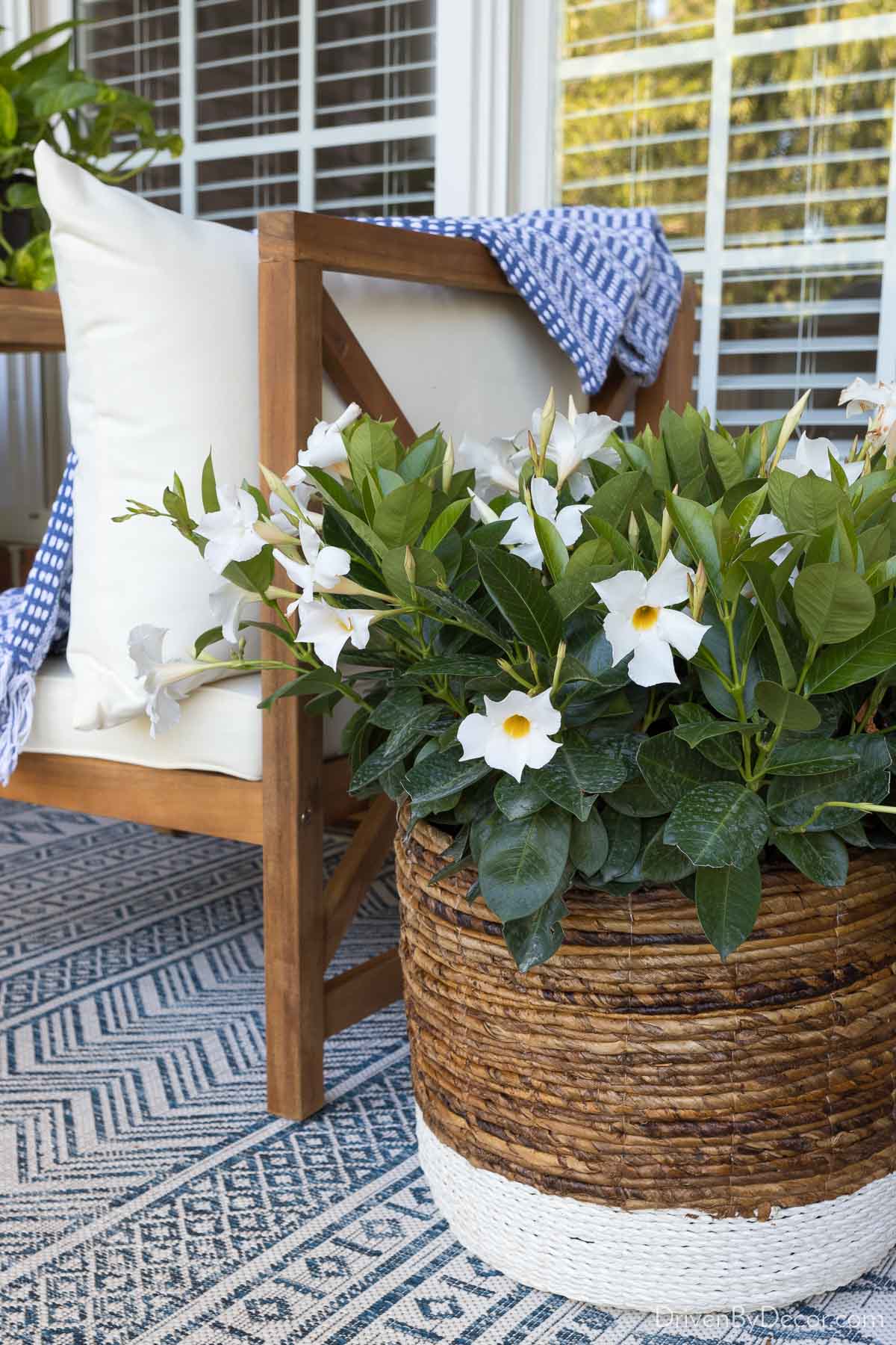 How To Decorate Bathroom Shelves - Through My Front Porch