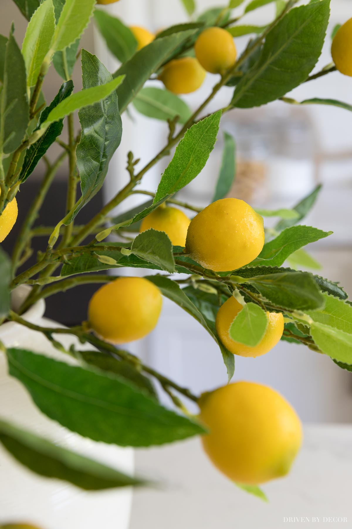 Close up of the artificial lemon branches I have and love!