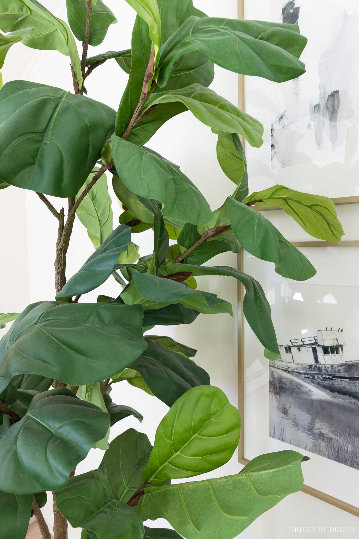 Artificial fiddle leaf fig tree that looks so real!