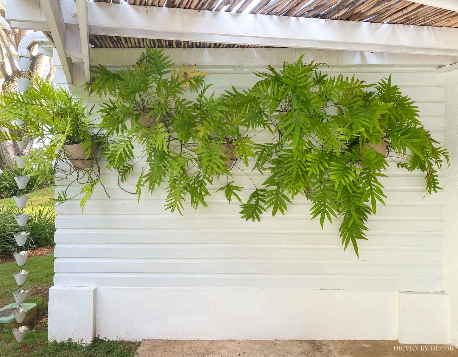 Love the idea of adding wall mounted planter holders to a blank outdoor wall!