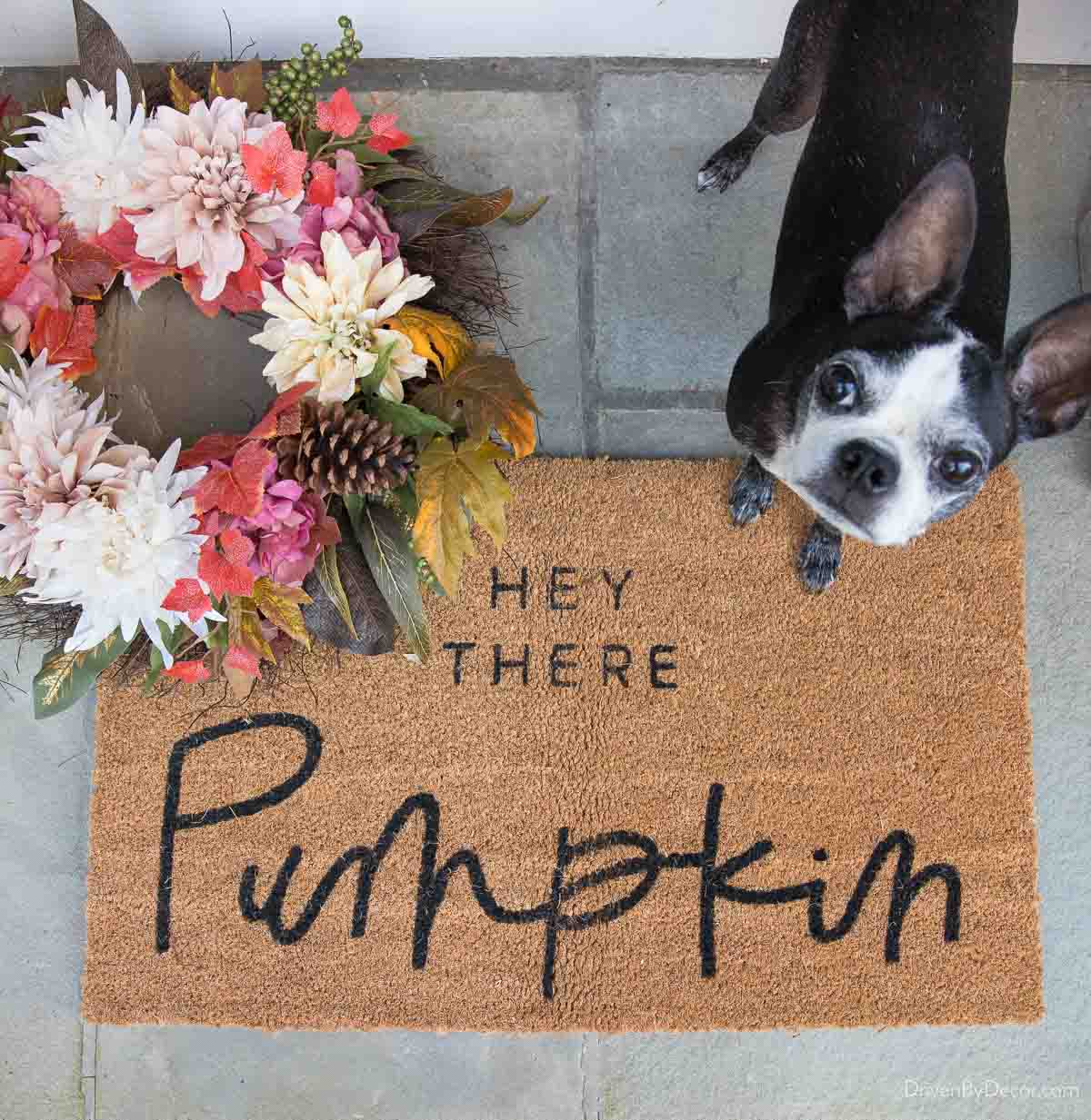 Hey there pumpkin fall doormat