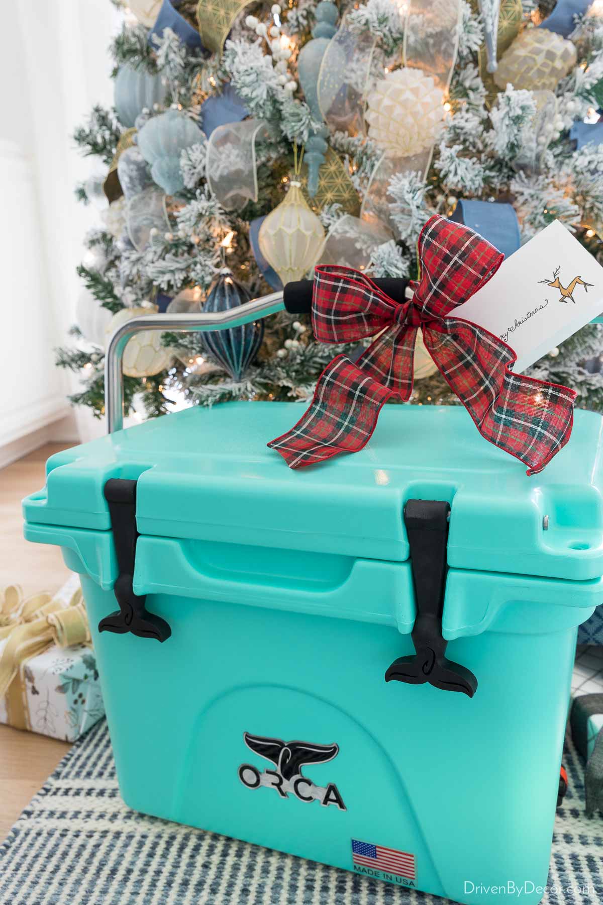 This colorful cooler makes a great couples holiday gift, especially gifted with a sailing adventure!