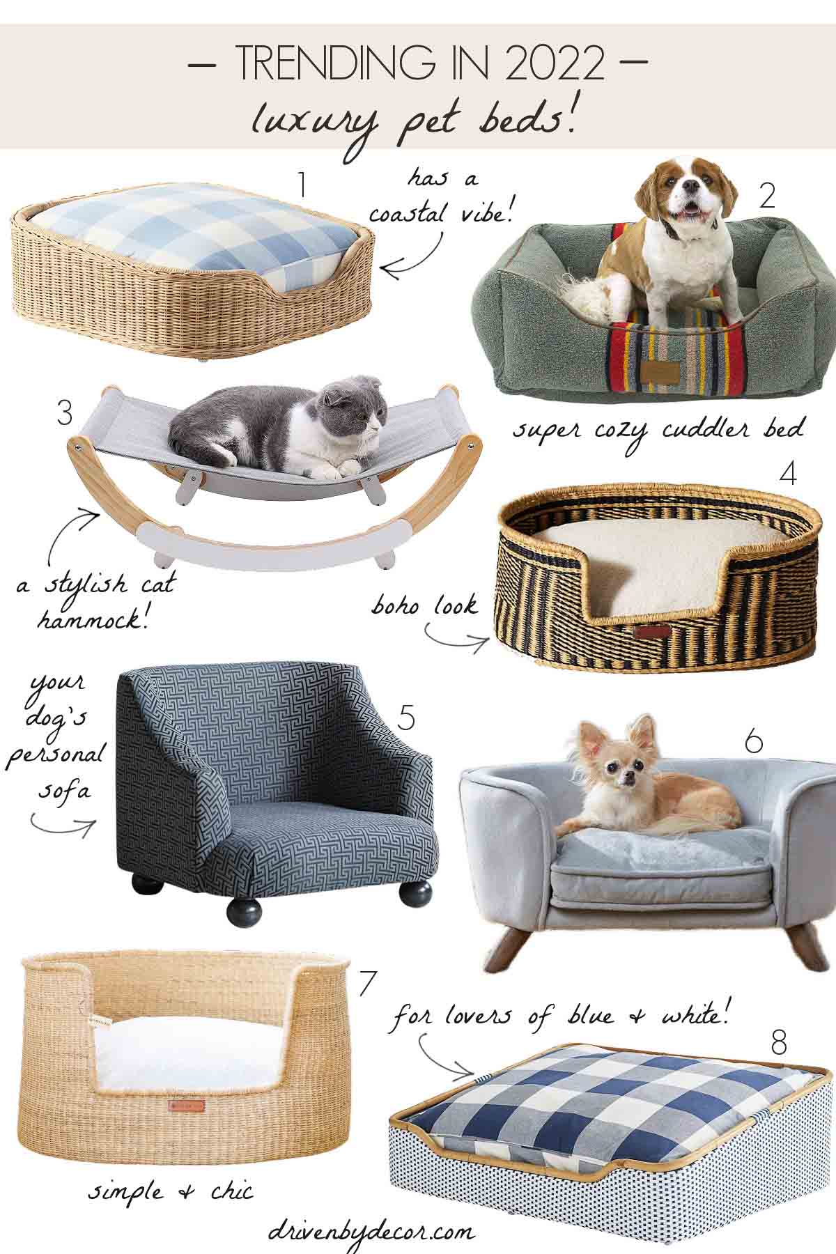 Pet friendly architecture and luxury dog beds are trending in 2022