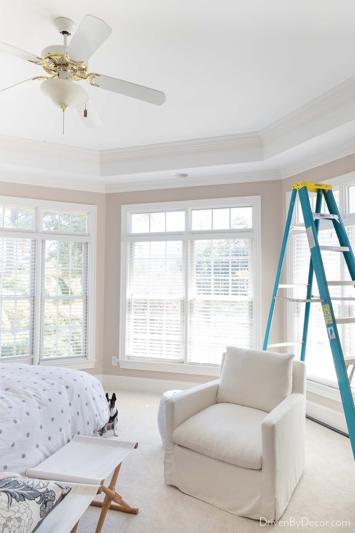The windows in our primary bedroom